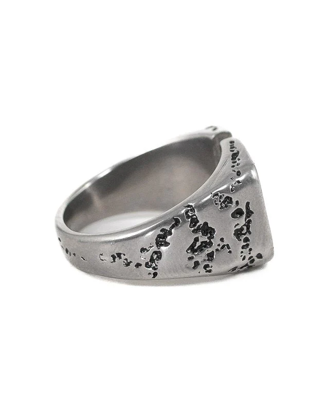Jernhest - Hovs Ring - Silver - Ring med Kolmårdsmarmor - Image 4